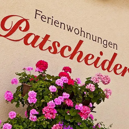 Apartment Patscheider Finkenberg